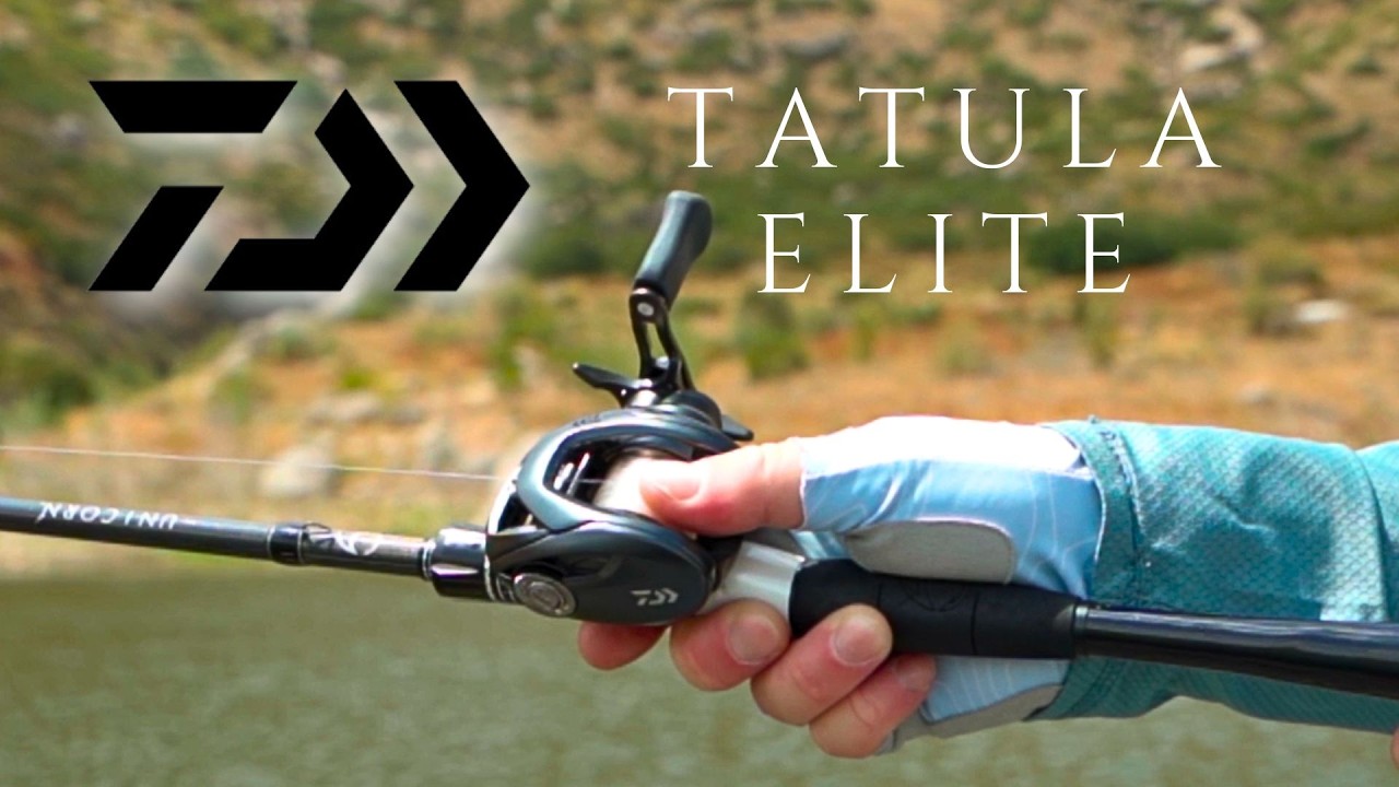 Is it ACTUALLY ELITE? Daiwa Tatula Elite Casting Reel Review