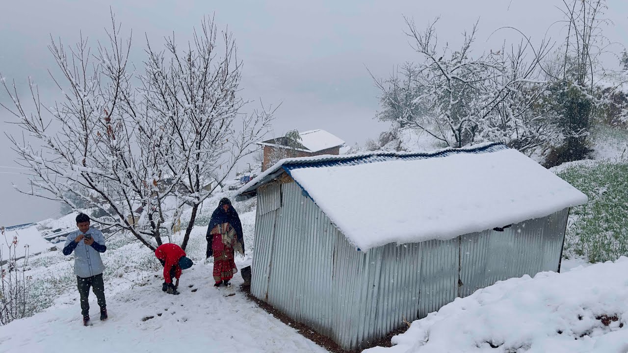 This is Himalayan Village Life | Nepal | ep-226| Most Peaceful And Very Relaxing Life into the Snow