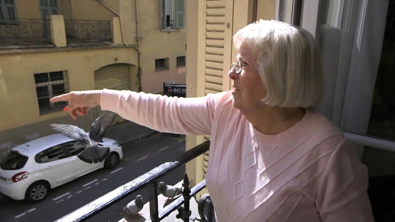 Yolanda et sa guerre face aux pigeons !