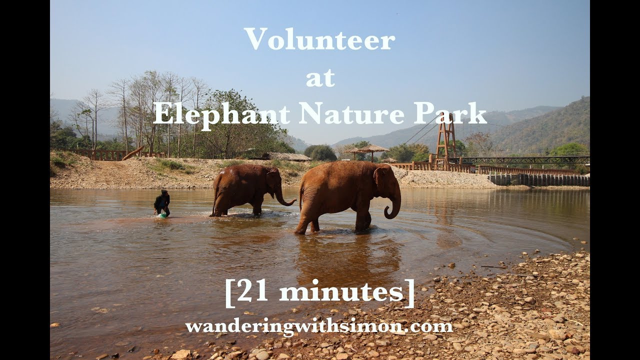 Volunteer at Elephant Nature Park [English]