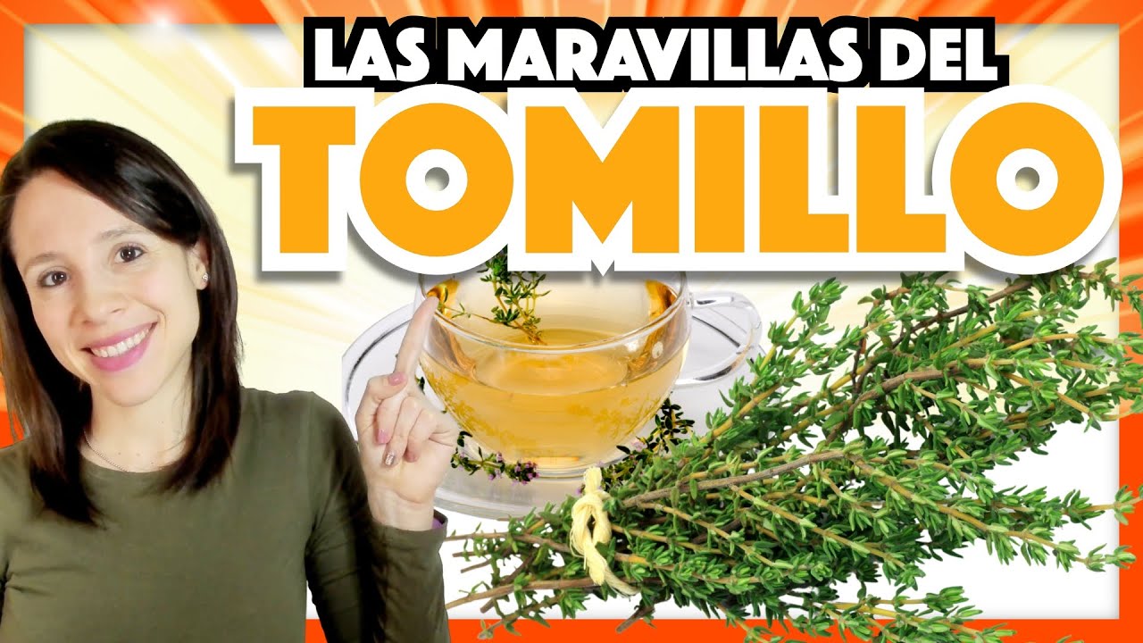 TOMILLO &iquest;Qu&eacute; pasa si se toma todos los d&iacute;as? ✅ BENEFICIOS Y 🛑 RIESGOS