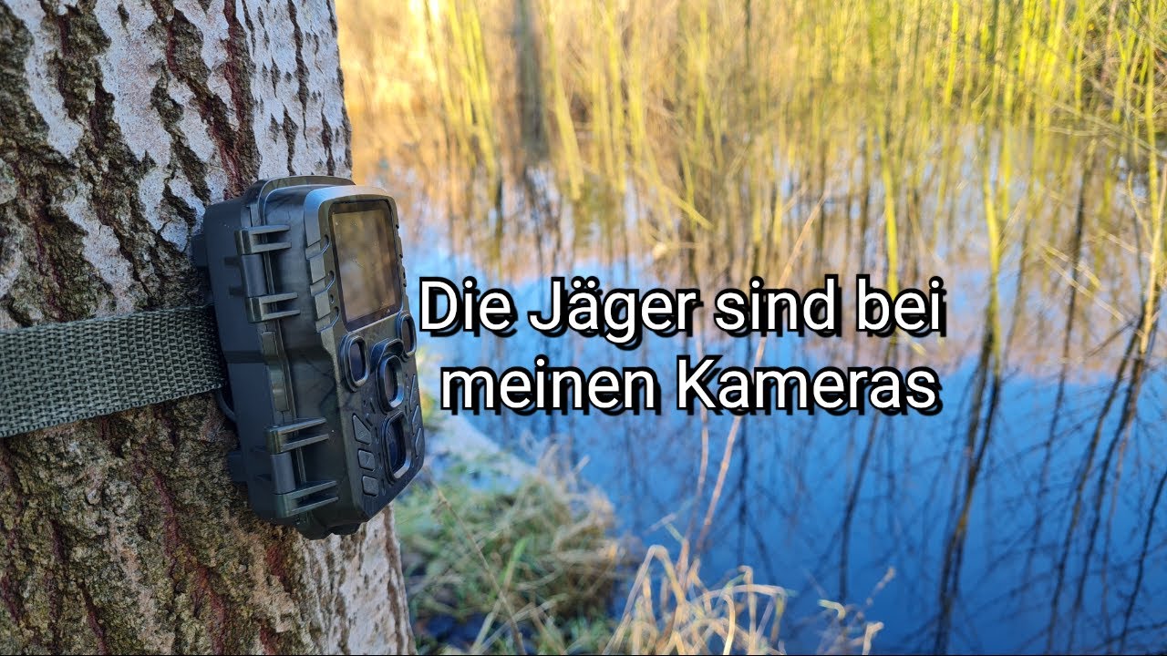 Die Jagd beginnt und ich mitten drin - Wildkamera 📷
