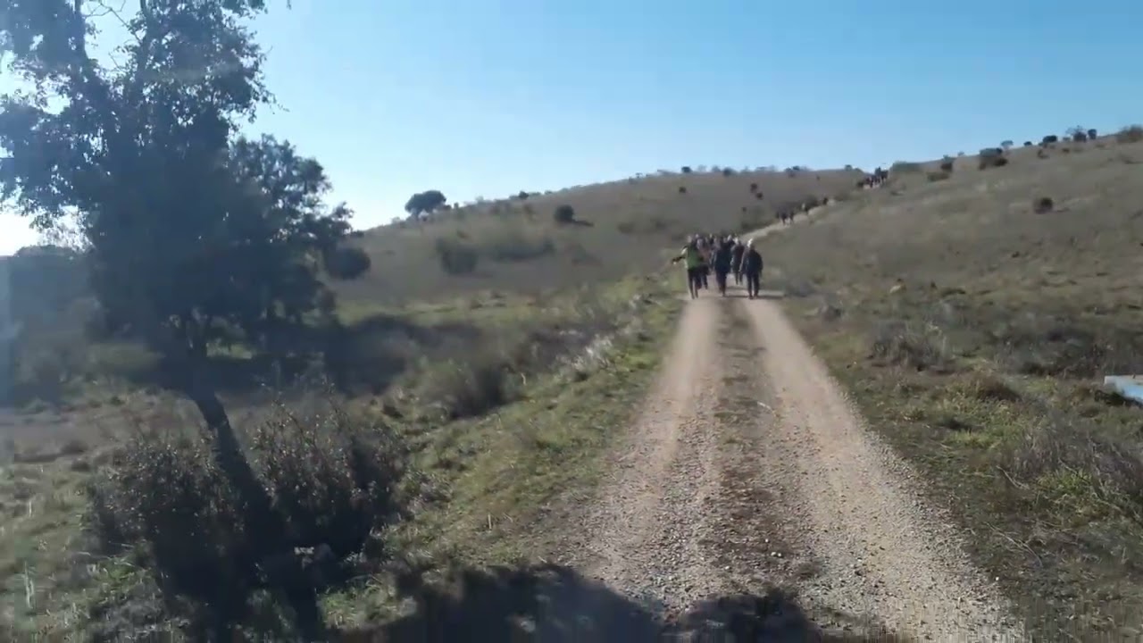 Paseo Natural por Cardiel de los Montes