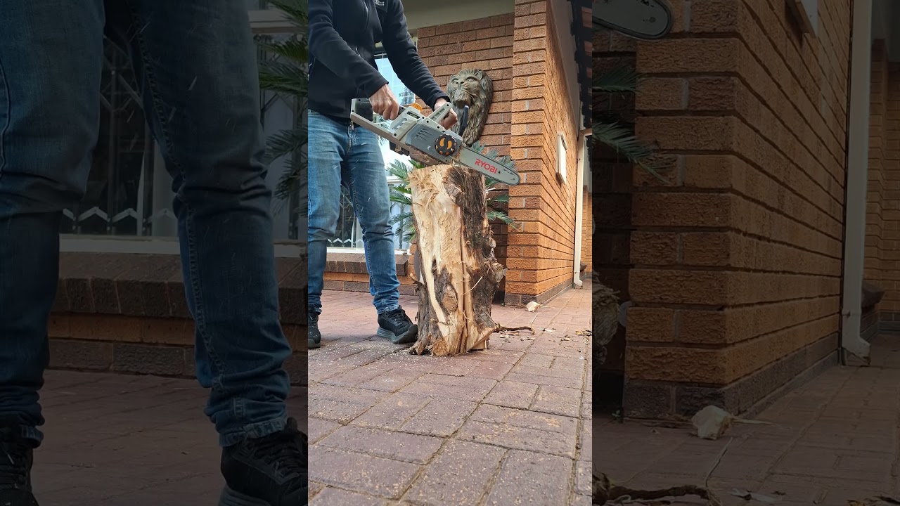 Ryobi 18v battery chainsaw. Will it cut or not? #michaelstoolbench #chainsaw #ryobichainsaw #ryobi