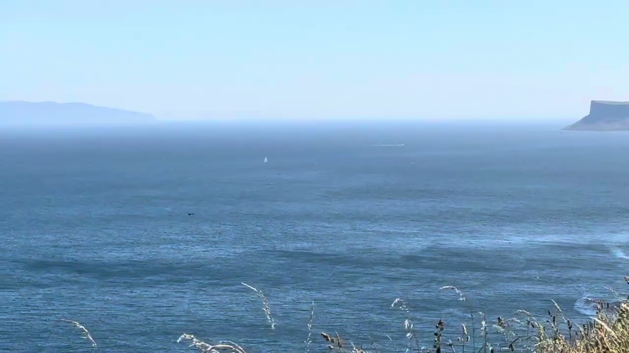 Carrick a Rede Bridge View