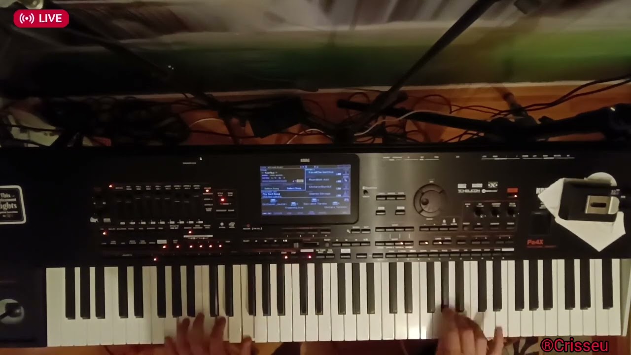 #V567 🎹🚦Sârbă moldovenească