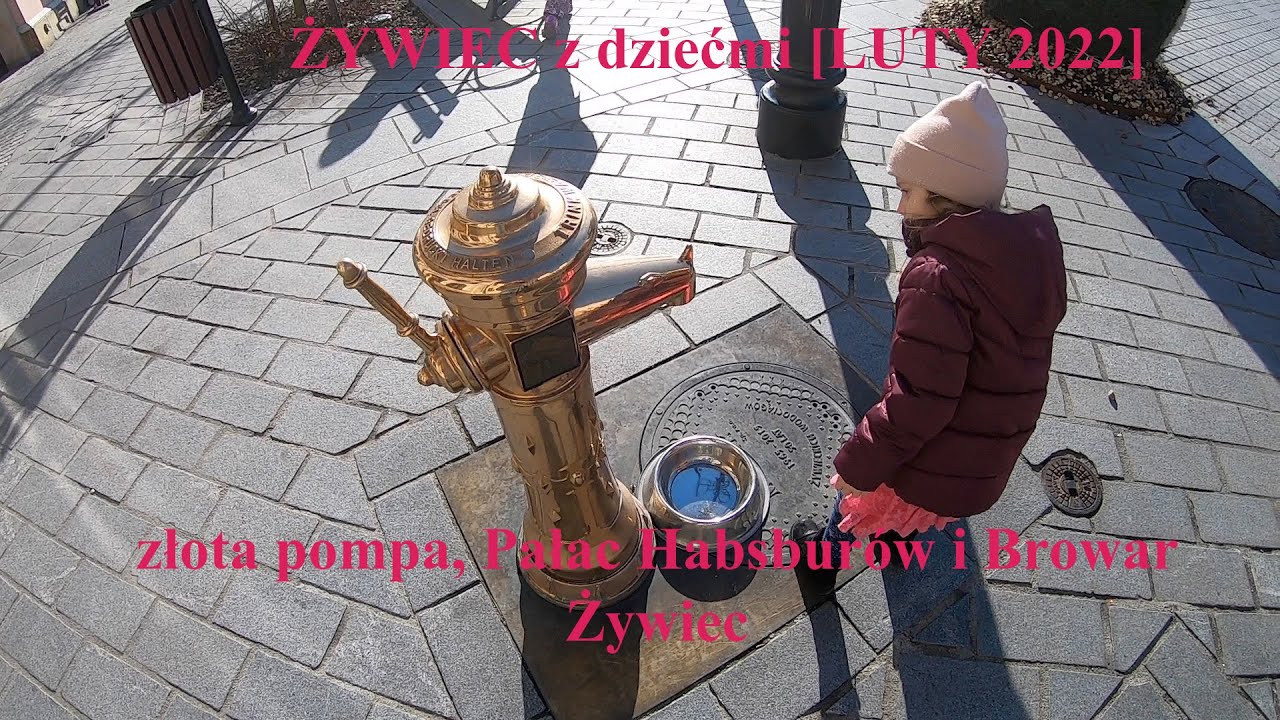 Żywiec z dziećmi - centrum, jezioro żywieckie i Muzeum Browaru Żywiec [LUTY 2022]