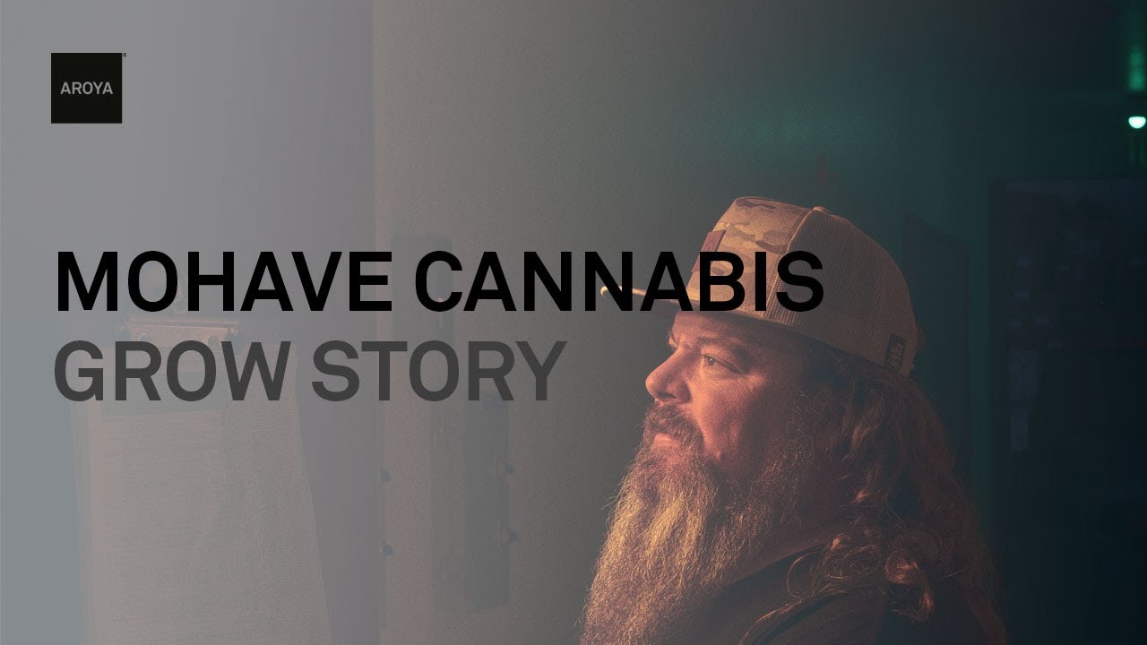 Grow Stories: Mohave Cannabis Co.