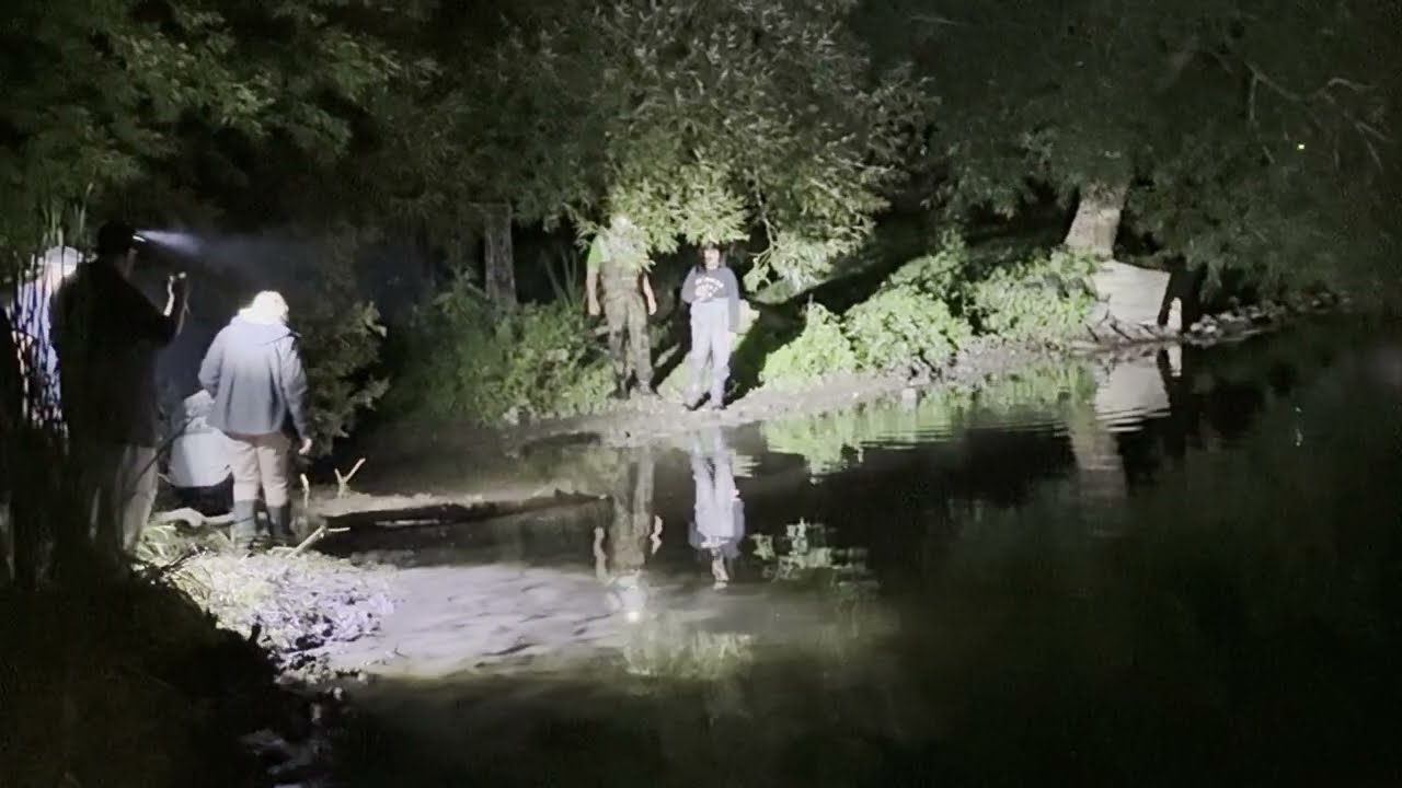 September 13, 2025 Salmon Ganaraska River Port Hope Cobourg Creek