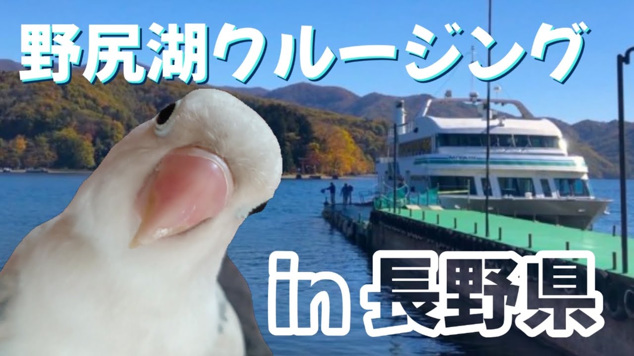 【１人と１羽シリーズ最終回】インコちゃんとクルージング☆〜2024/08/12〜