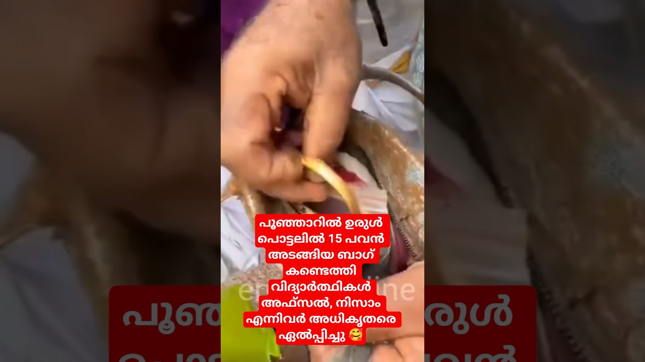 Poonjar News Live | Landslide | Gold