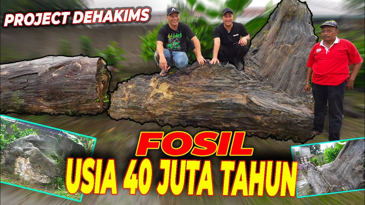 KEKAYAAN INDONESIA YANG DICARI DI SELURUH DUNIA, MILIK HAJI ASHARI