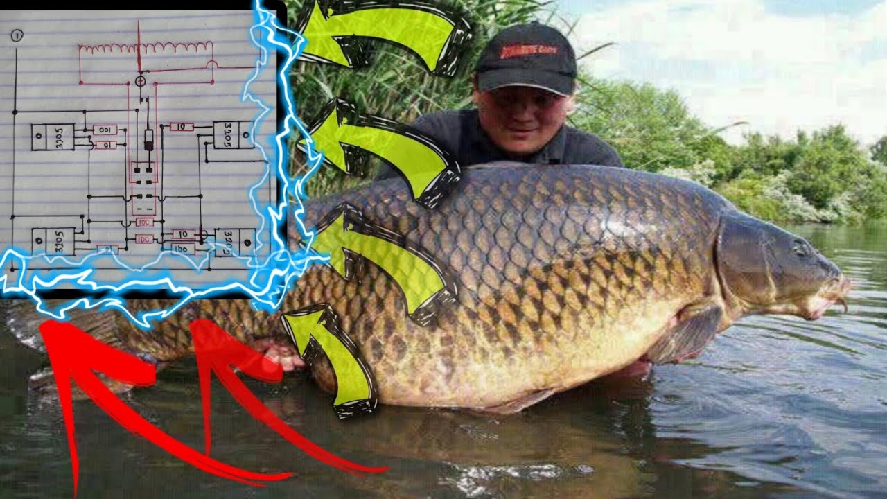 MALAKAS NA FISH STUNNER DIAGRAM FOR FISH STUNNER MOSFET TYPE