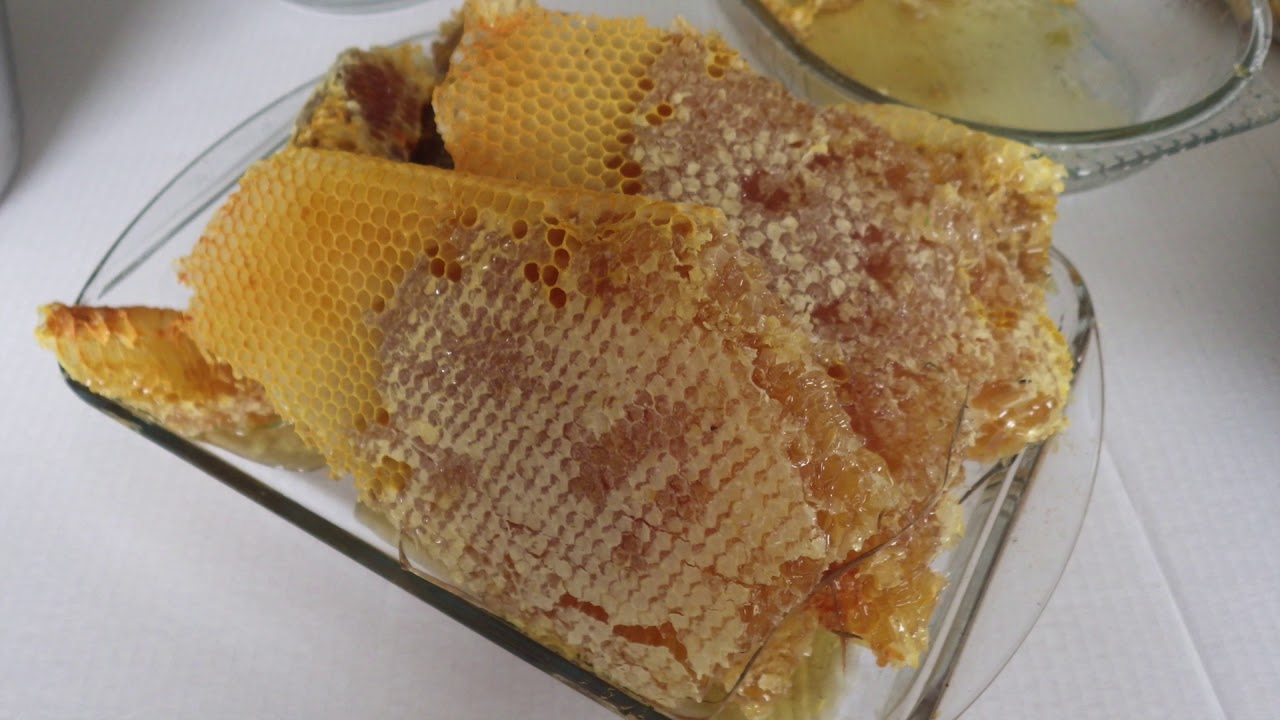Récolte de miel d'une ruche horizontale