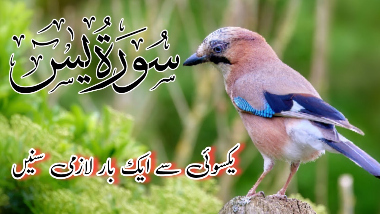 Surah Yaseen (Yasin) | Ep 037 | Magical Recitation | سورہ یٰس | Quran Tilawat | 