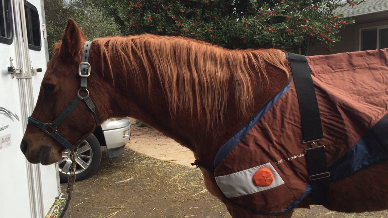 Randy Hood Bemer Vet Demo