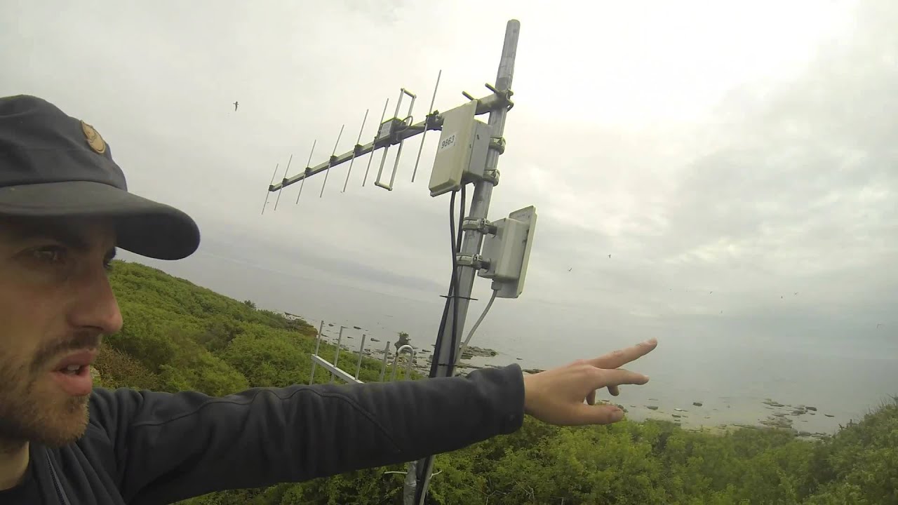 GPS tracking of lesser black-backed gulls at Stora Karls&ouml;