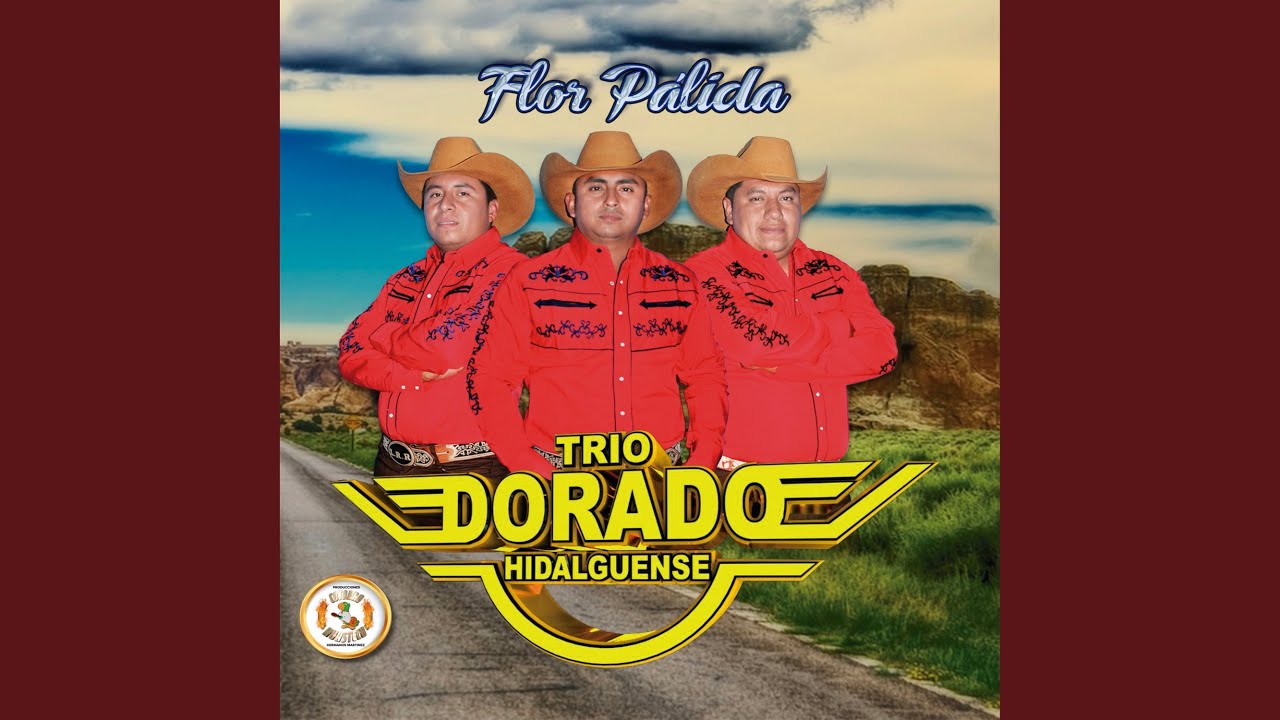 Lleno de nada