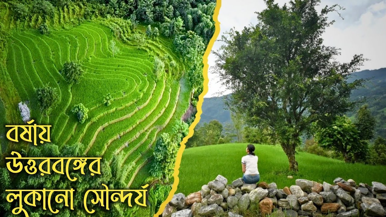 একটা গ্রামে দুটো নদী, কাঞ্চনজঙ্ঘা আর ধাপ চাষ ↑ Kagay ~ Kalimpong ↑ Travel Vlog 