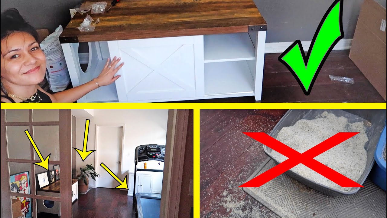 How to hide THREE cat litter boxes in ONE room! - Home gym remodel