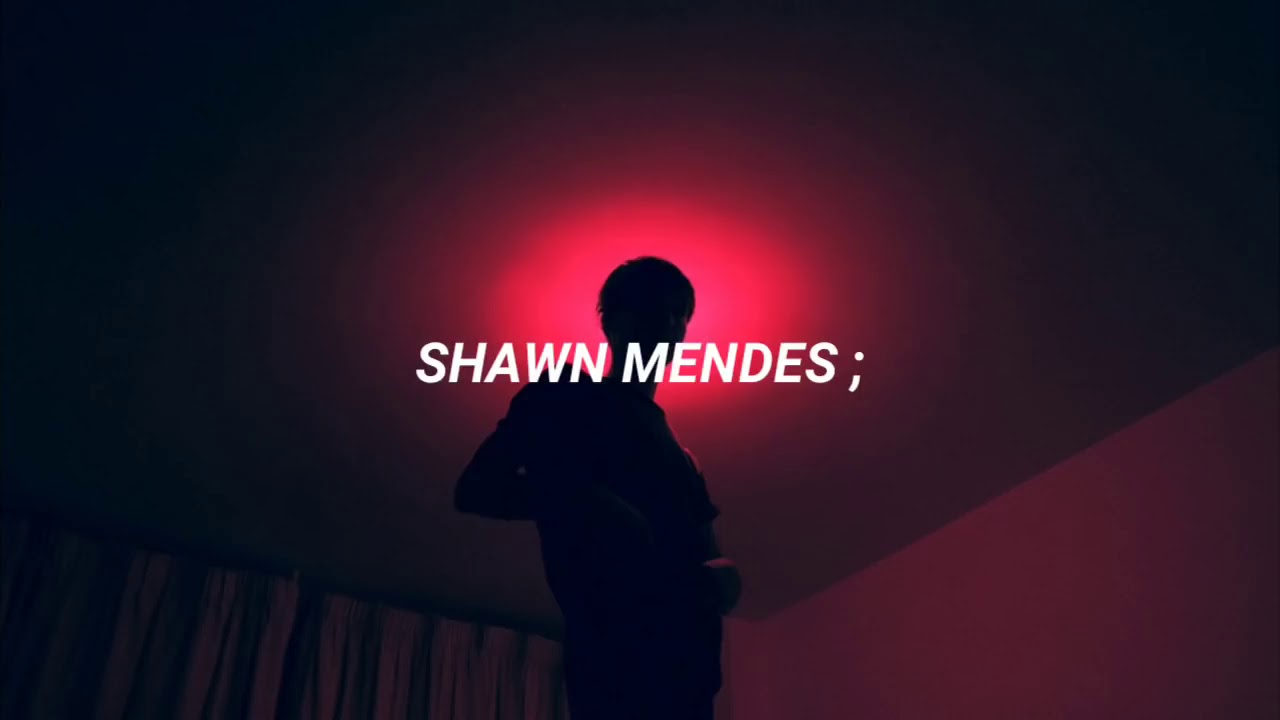 Shawn Mendes - Understand (Traducida al Español)