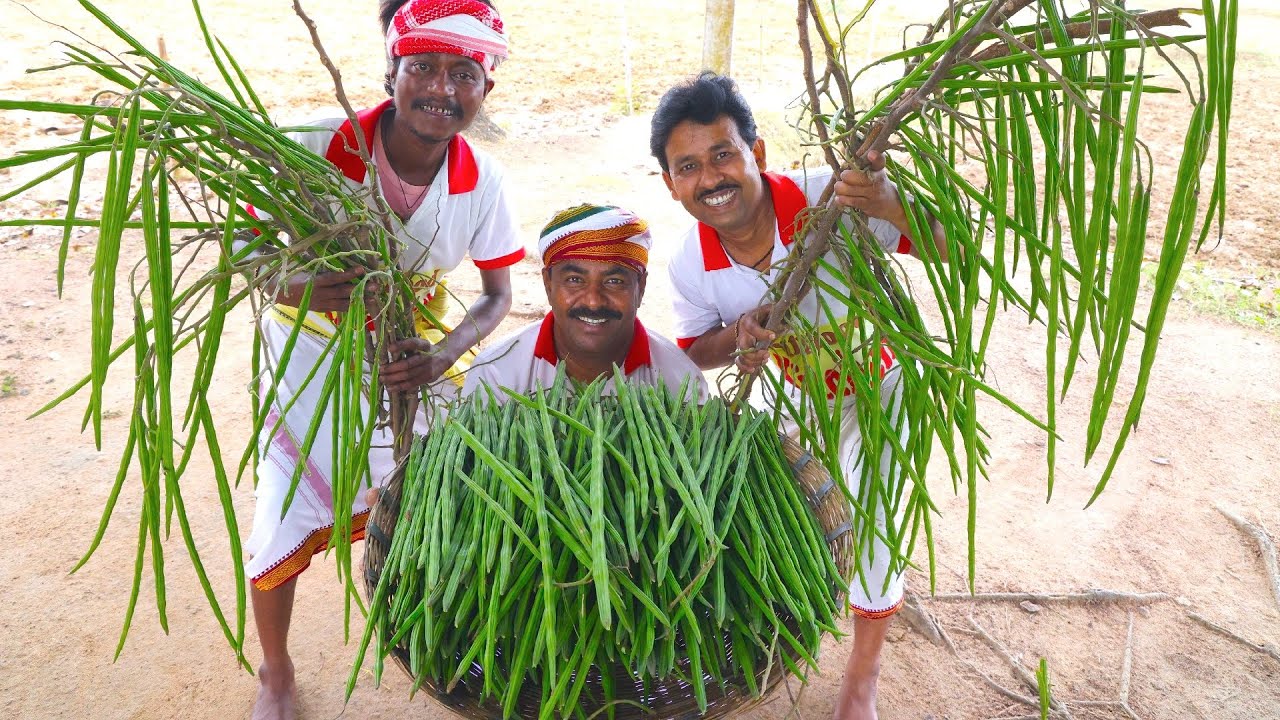 গাছের টাটকা সজনে ডাটা পোস্ত রান্না | Picking fresh drumstick and cooking for village people