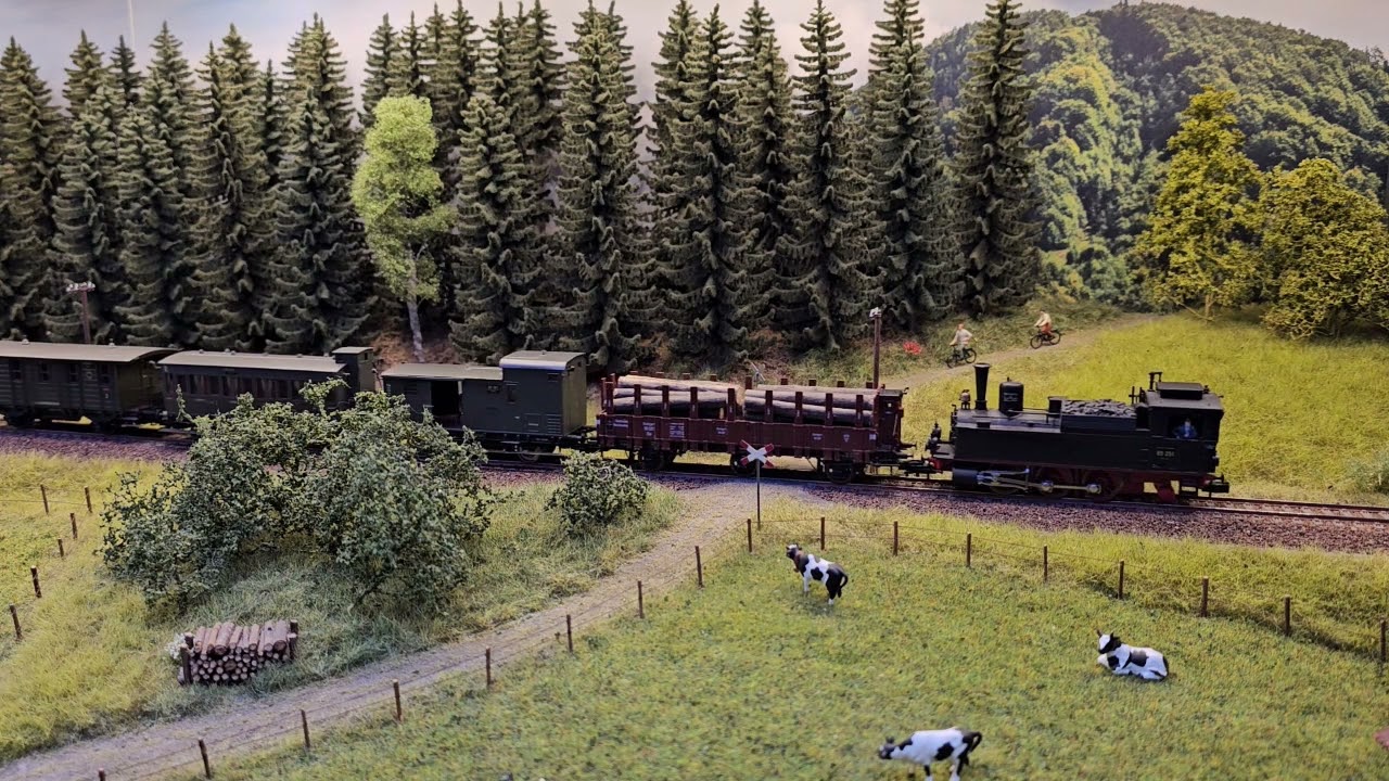 Nur ein PmG - Rangierfahrten im Modellerzgebirge