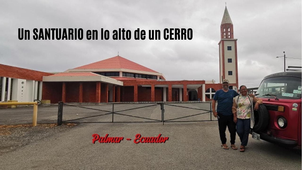 PALMAR - 09-2024