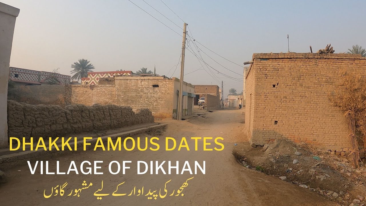 Beauty of Dhakki Dera Ismail Khan ! Dates Orchards of Dhakki| Ali Mohiuddin|VLOG