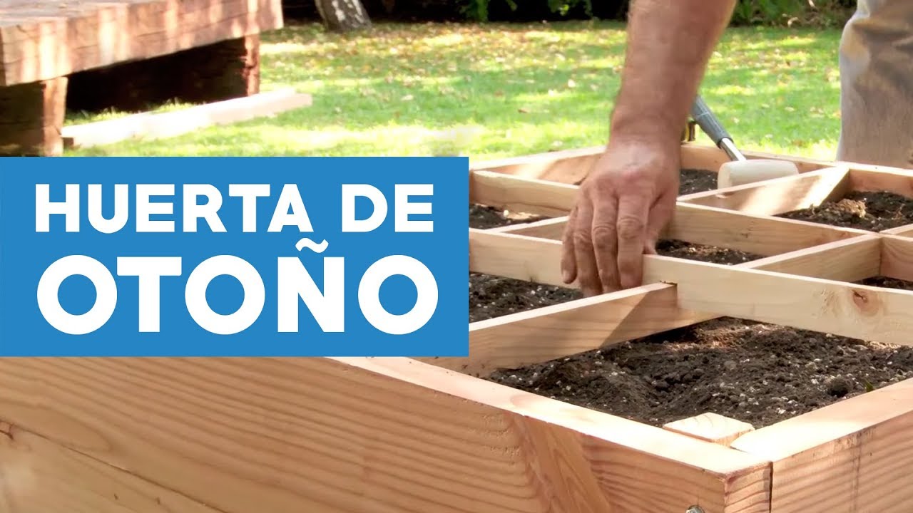 Cómo hacer una huerta de otoño en 1m2
