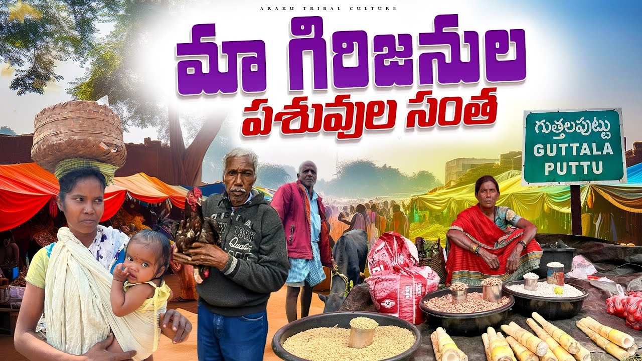 Tribal Weekly Market : గిరిజనుల పశువుల సంత || గుత్తలపుట్టు సంత || Araku Tribal Culture
