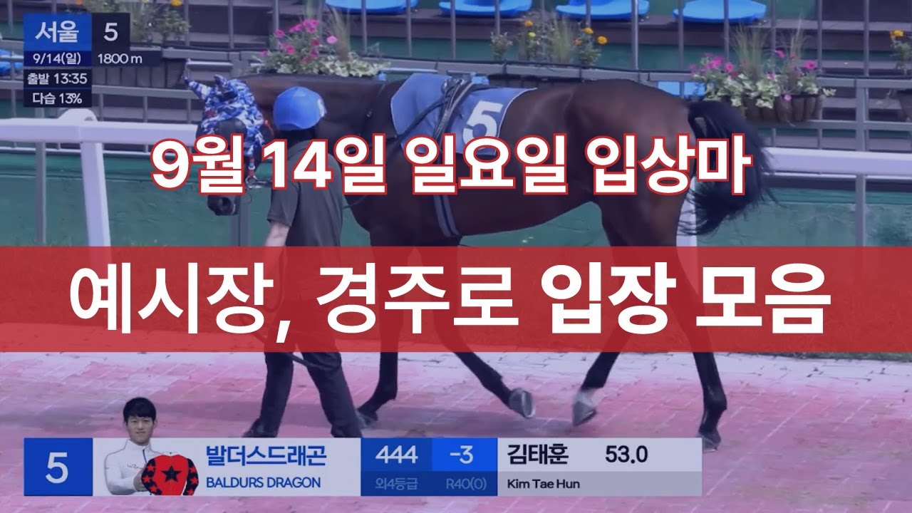 9월 14일 일요일 입상마 예시장, 경주로 입장 모음