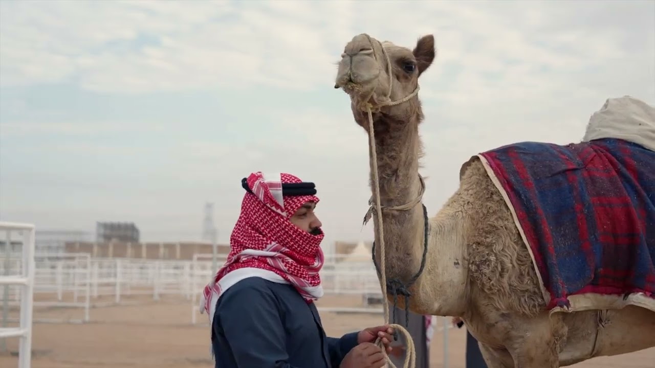 غطرفت حايل | مشجع مسفر