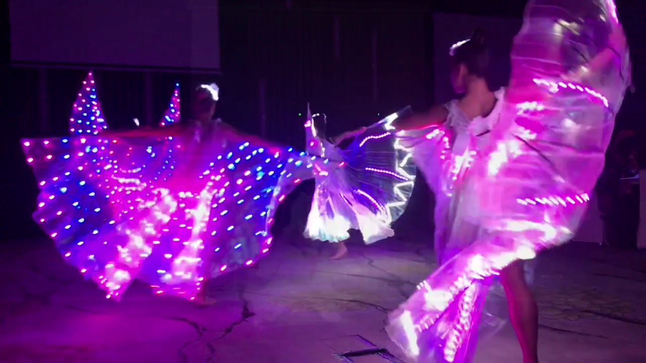 LED Wings Show - Color Changing