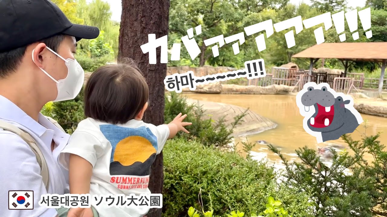 カバをこよなく愛す1歳児(謎)とソウルの動物園に行ってみた！ 하마를 사랑하는 아기와 서울대공원 나들이　[日韓夫婦/한일부부]