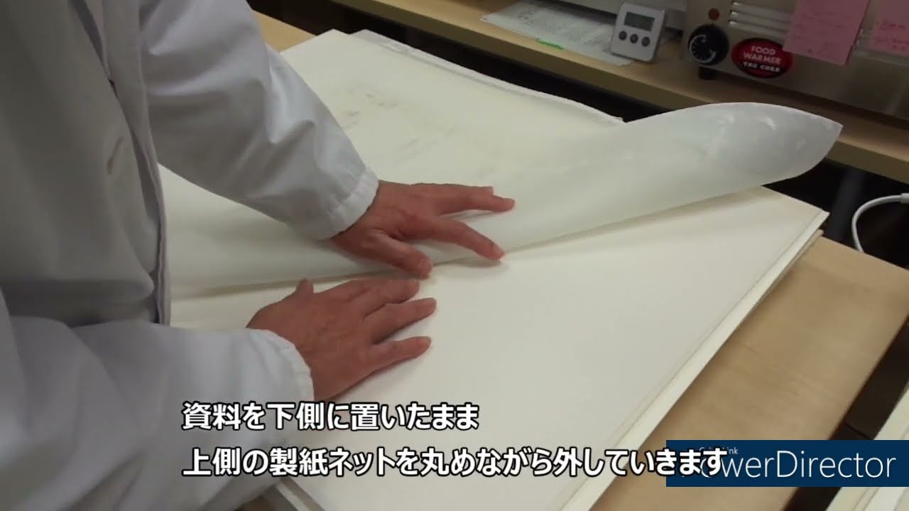 製紙ネットからすきばめ後の資料を取り外す（Removing the paper after leafcasting from papermaking net）