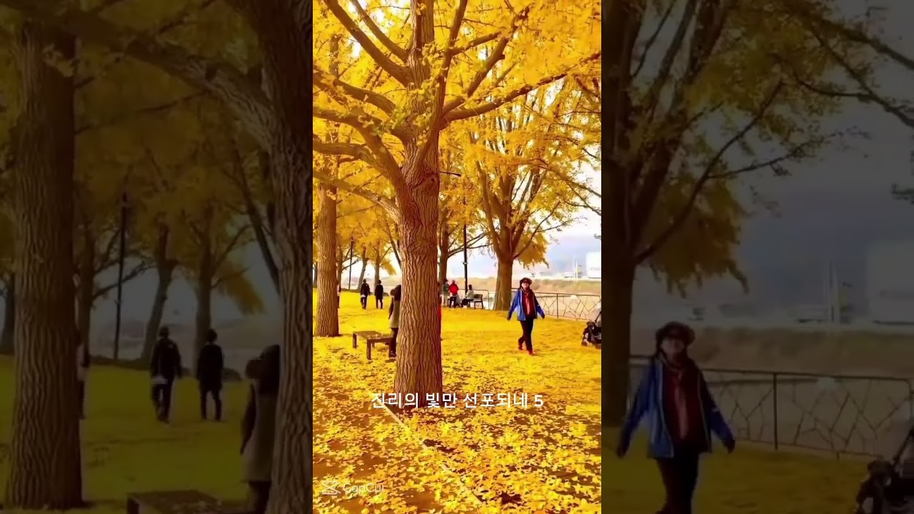 창작/ 우린 주님의 군대/ #love #경배와찬양 #찬양과 기도 #찬송가편곡 #침묵의기도