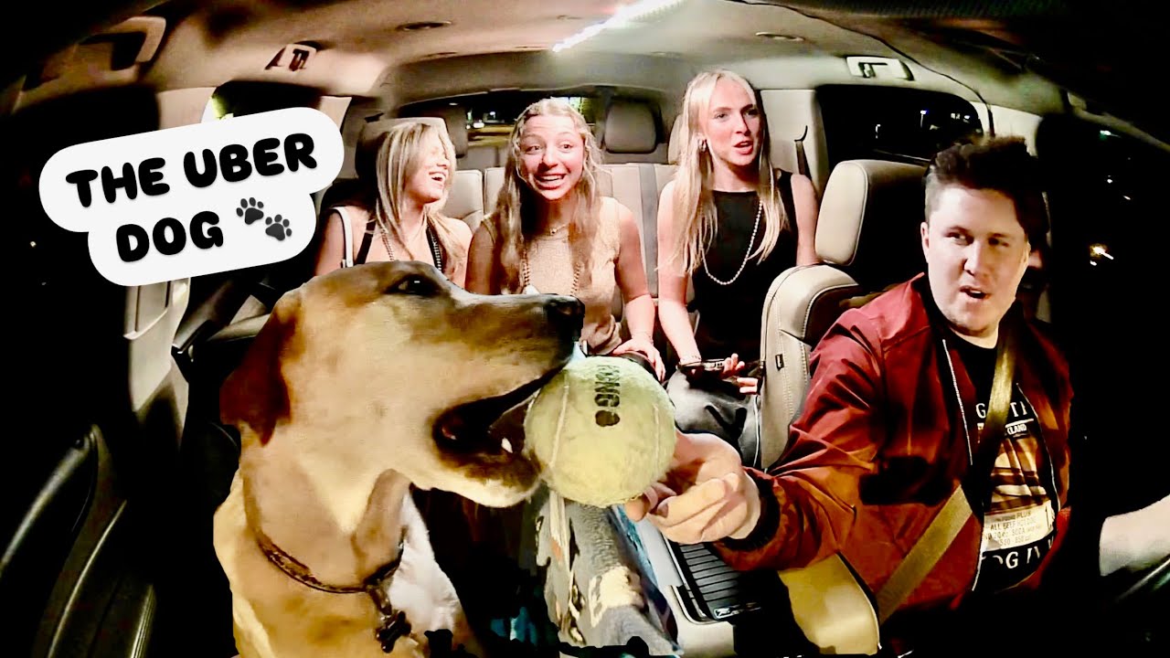 College Girls Meet The Uber Dog!