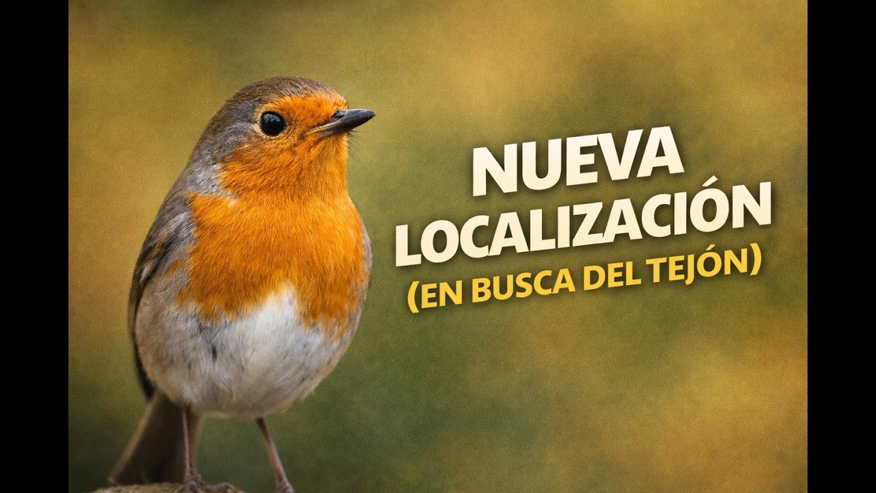Nueva localización