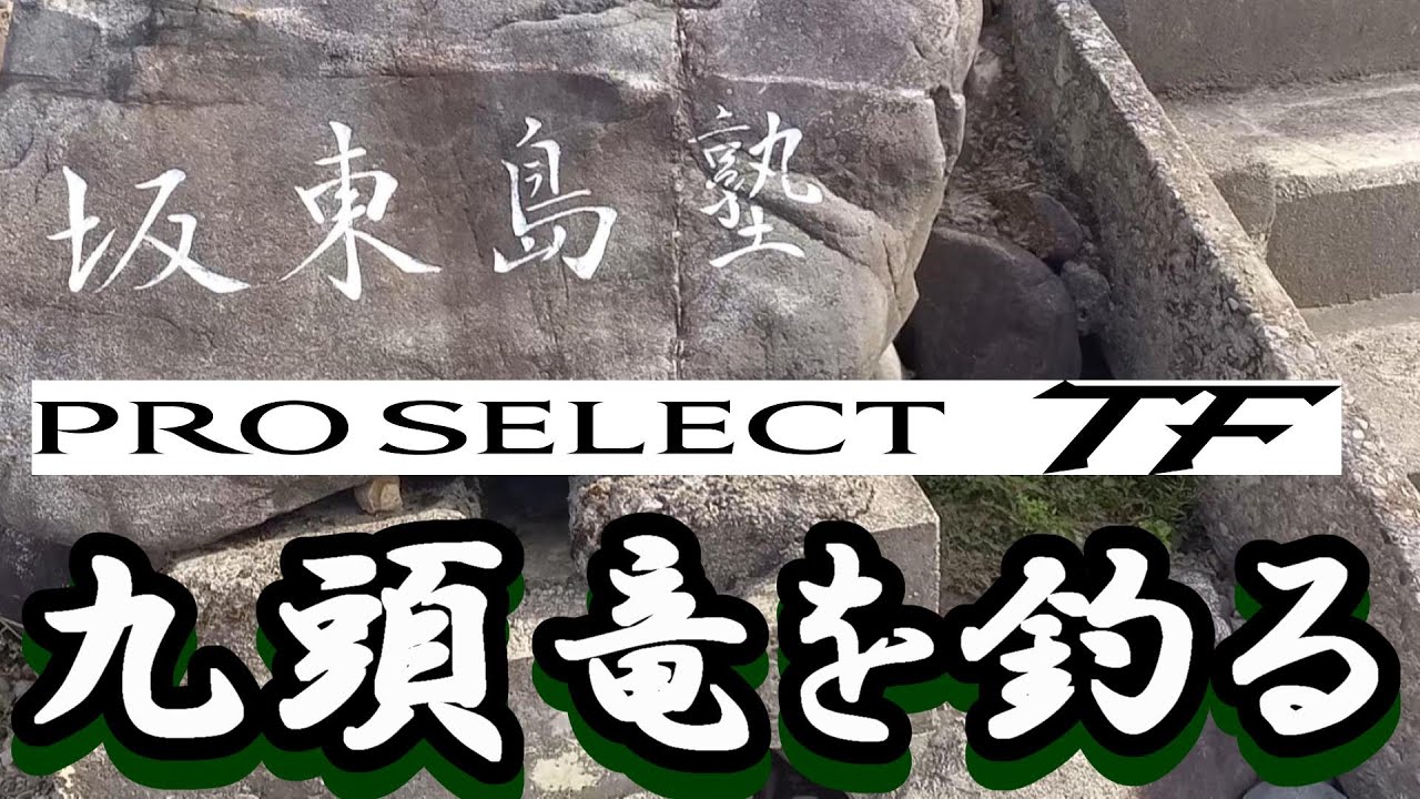 鮎釣り シマノ プロセレクト TF 急瀬85 平水 坂東島 北島鮎大橋下  2023年9月14日