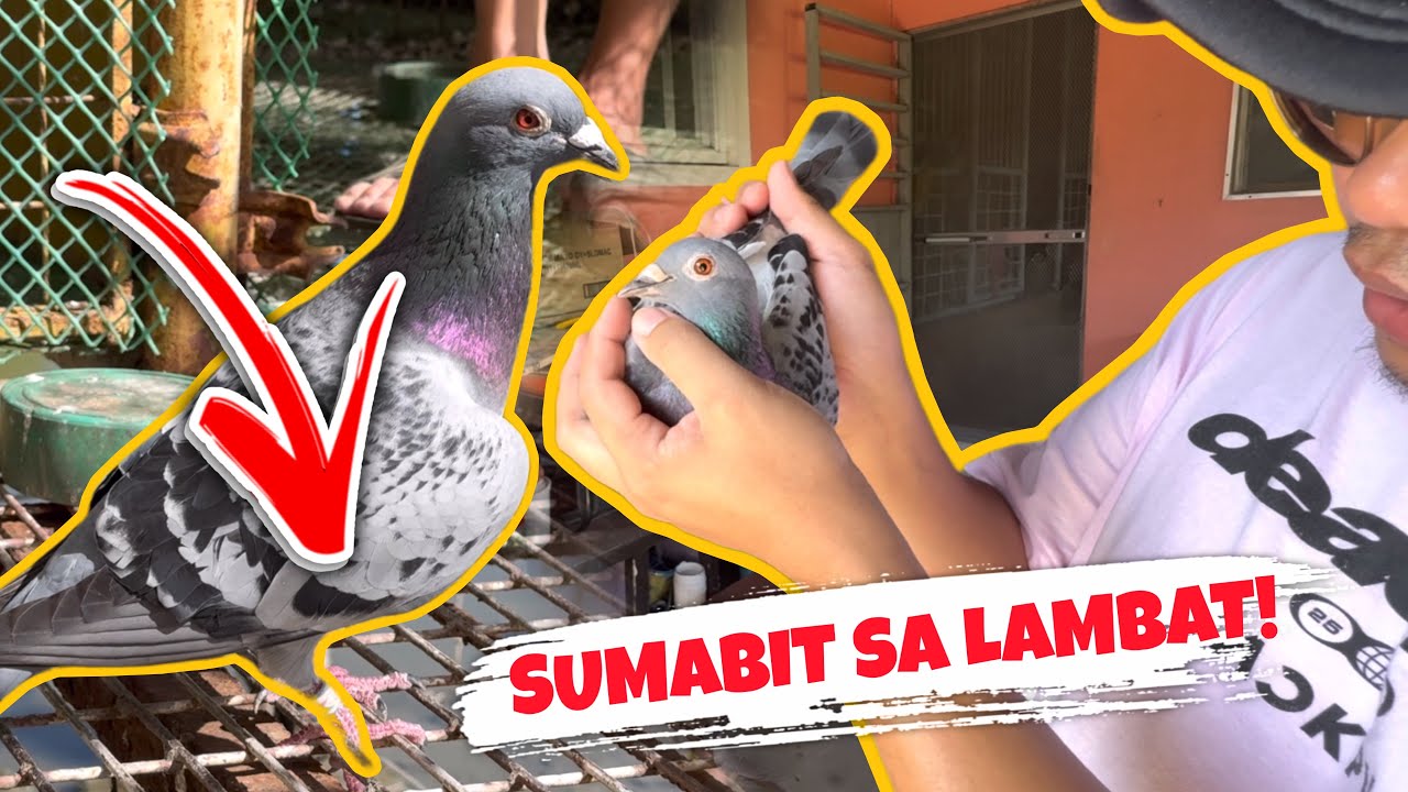 NABAWASAN ANG PANLABAN 😢