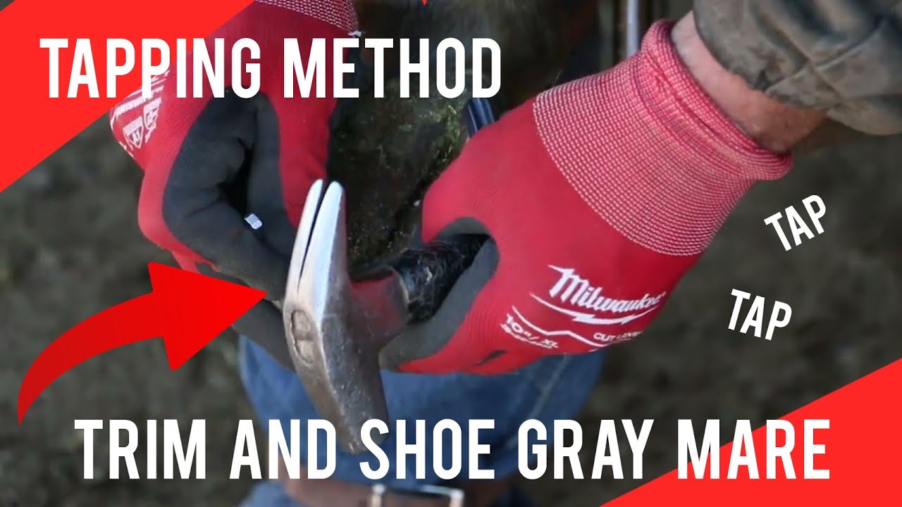 Tapping Method - Trim and Shoe Gray Mare - RJF