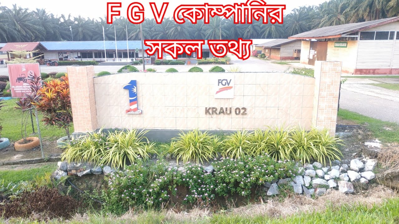 মালয়েশিয়া F G V কোম্পানির সম্পূর্ণ ডিটেইলস সুযোগ সুবিধা এবং অসুবিধা #মালয়েশিয়া #প্রবাসী