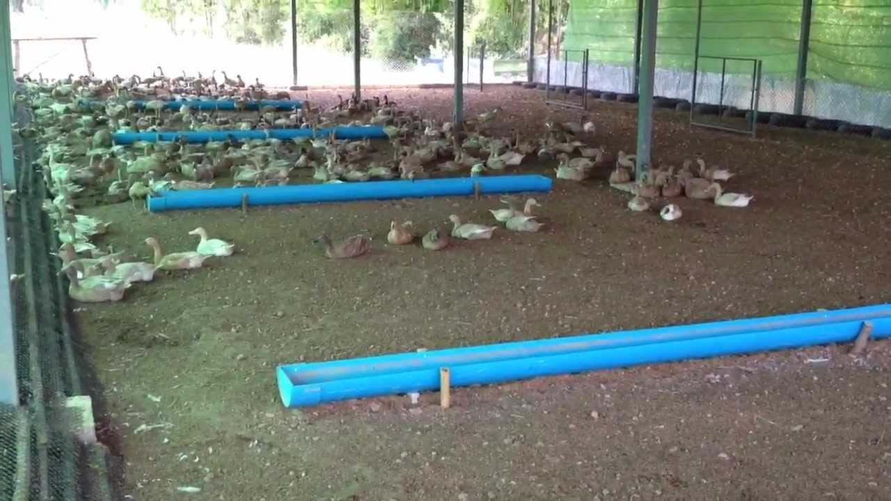 รุ่งรัศมีฟาร์ม