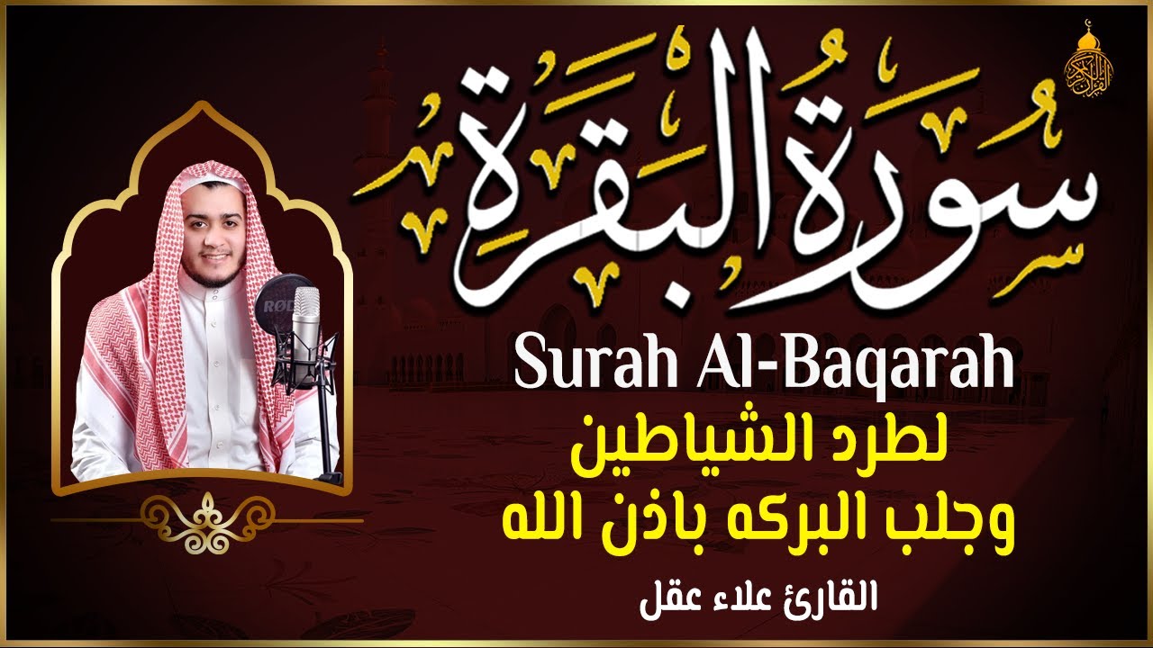 سورة البقرة كاملة لطرد الشياطين من منزلك وجلب البركه باذن الله 💚 surat albaqra