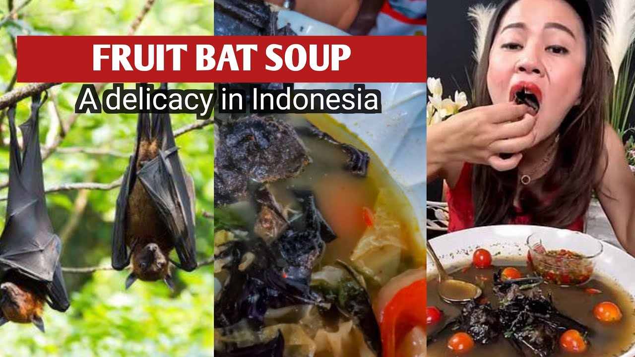 Bat soup: the most delicious meal in Indonesia