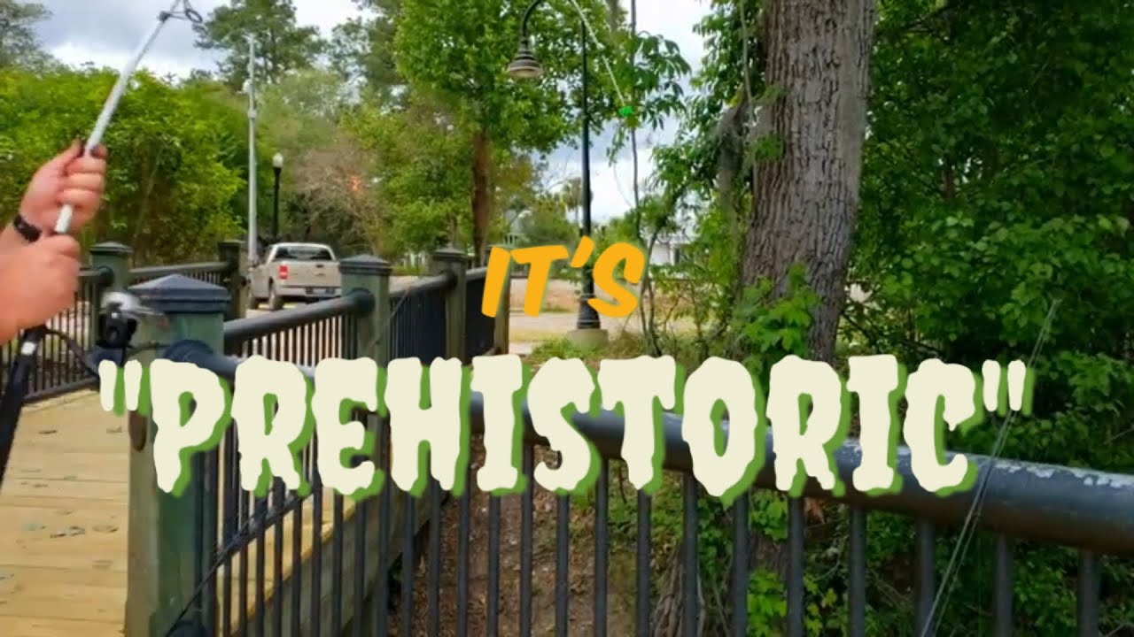 Jurassic Surprise | Conway, South Carolina