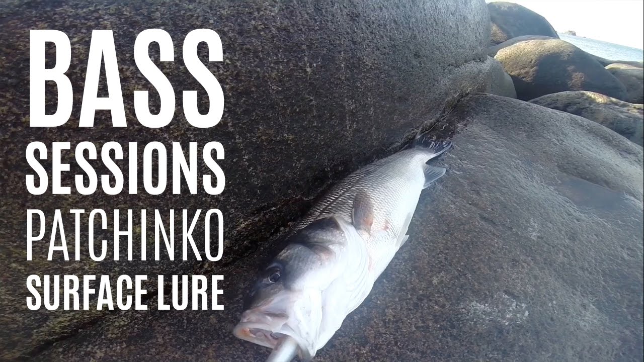Patchinko Surface Lure Fishing for Bass | Guernsey Fishing