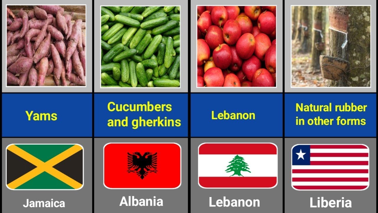 Top  Agricultural Exports by Countries 2025 |