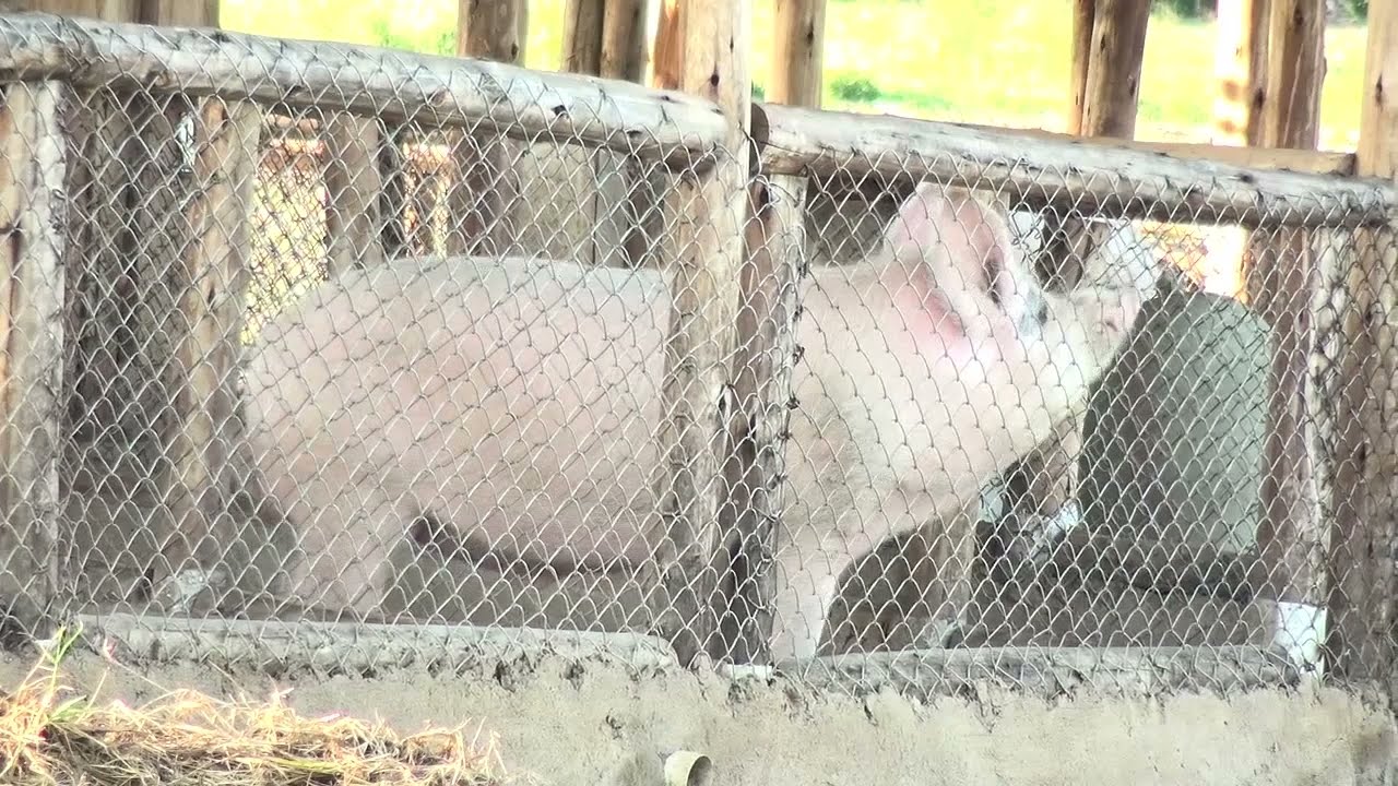 Eden, Olusuku lwa katonda